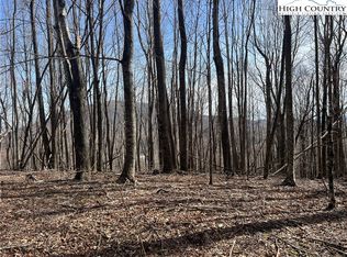 Town View St, West Jefferson, NC 28694