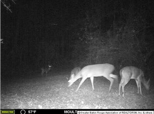 6725 River Rd, Clinton, LA 70722