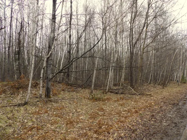 7552 Tee Lake Rd, Crandon, WI 54520