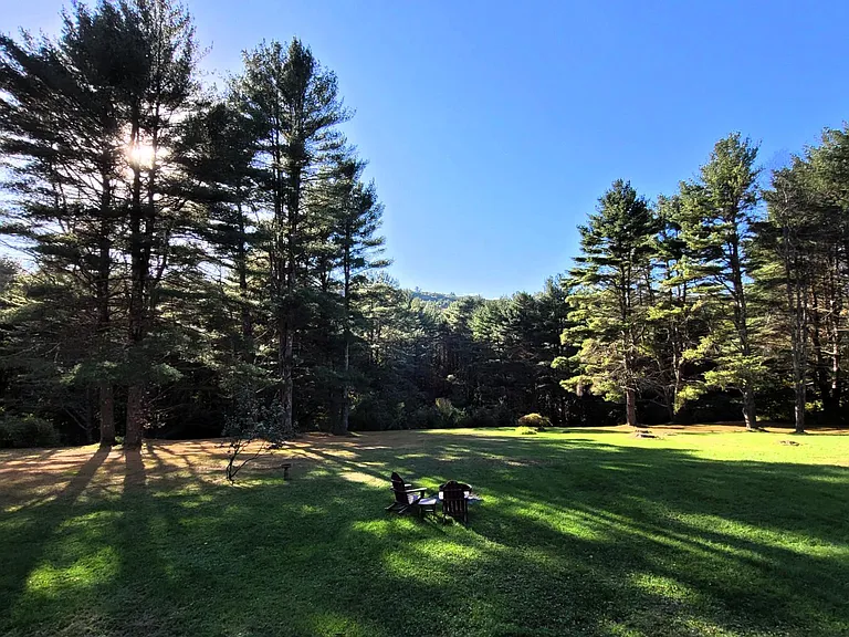 Expansive back yard