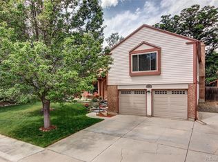 4691 S Vivian St, Morrison, CO 80465
