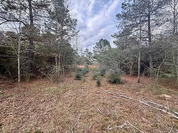 5th image of 0 Burch Rd