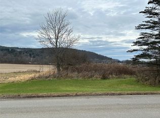 288 Sabin Rd, Spencer, NY 14883