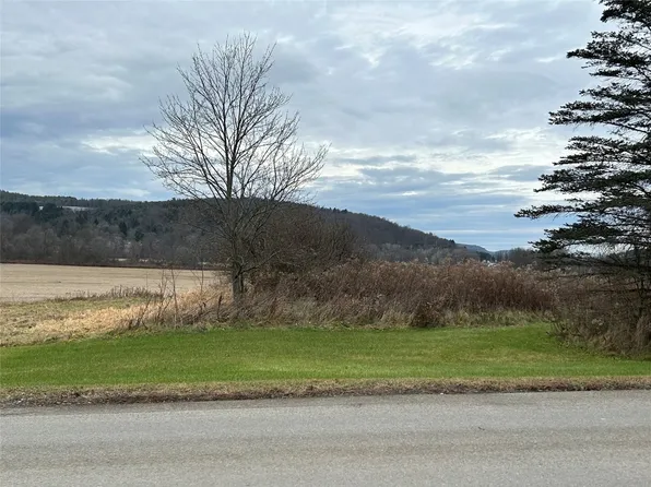 288 Sabin Rd, Spencer, NY 14883