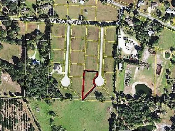 1641 SE Swingle Ter, Arcadia, FL 34266