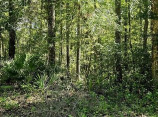  312th Ave, Old Town, FL 32680