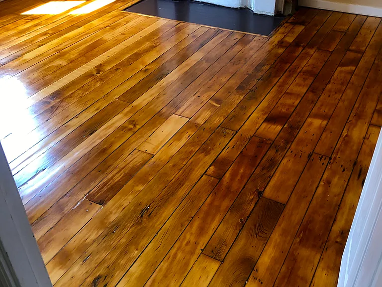 2211 Sarah St #2 — Photo 14