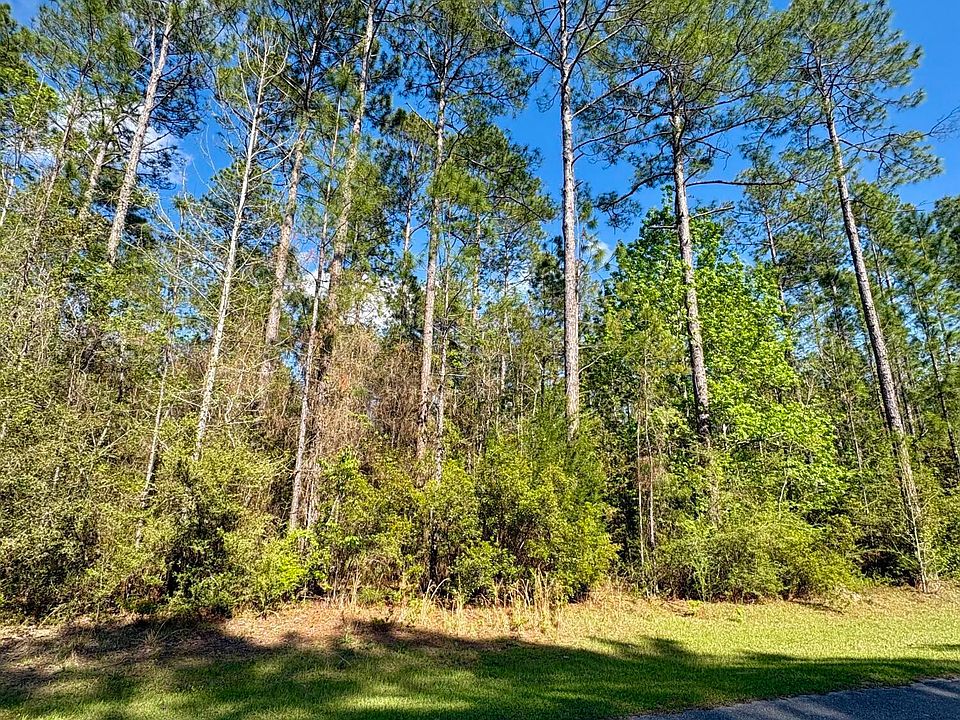 1st image of 11 Cypress Xing