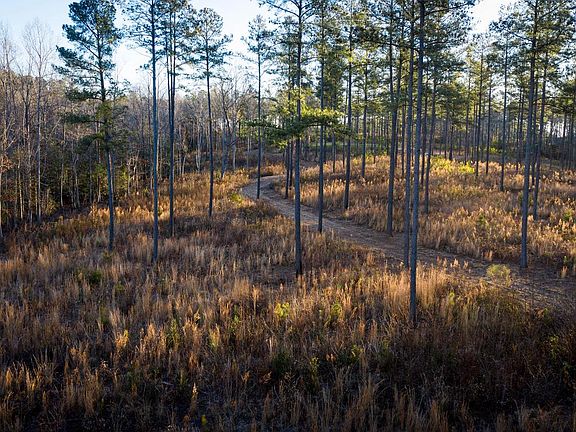 5th image of 1052 S Hill Rd