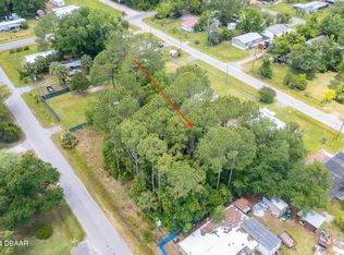 0 Armadillo Rd LOT 4, Astor, FL 32102