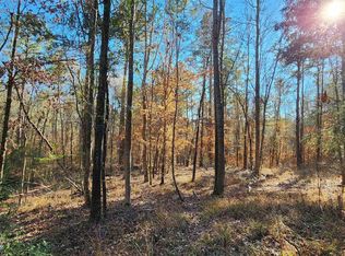 County Road 1011, Center, TX 75935