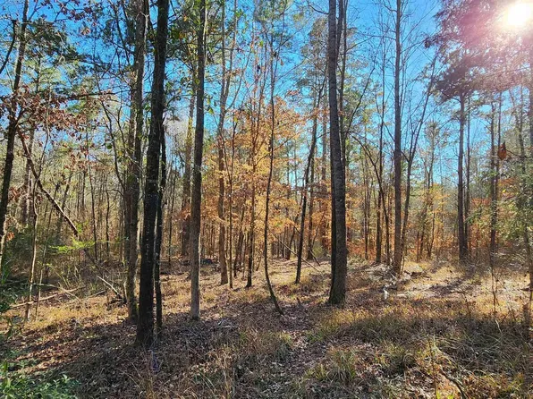 County Road 1011, Center, TX 75935