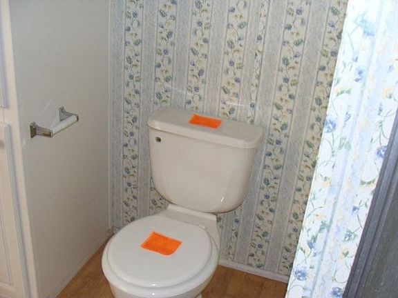 3rd image of 145 Rose Ln