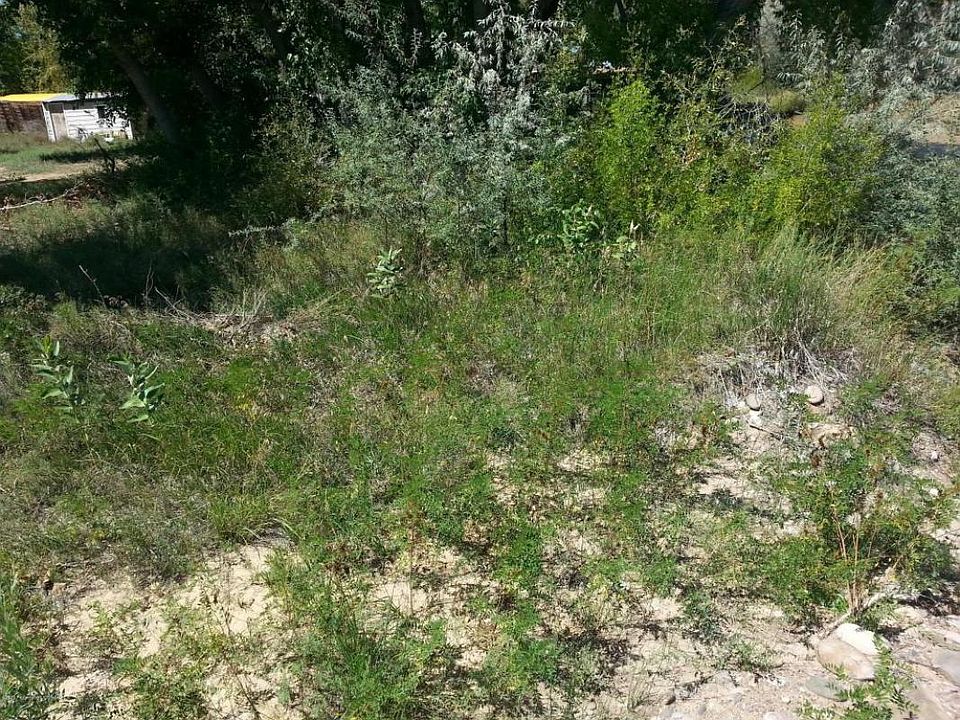 2nd image of 54 Road 2620