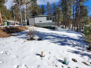 162 Green St, Bailey, CO 80421