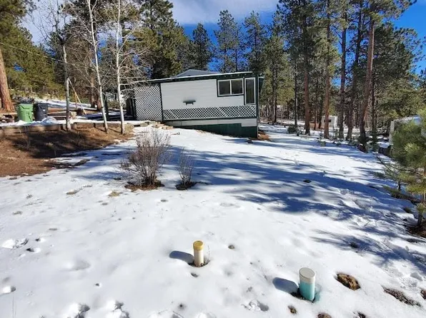 162 Green Street, Bailey, CO 80421