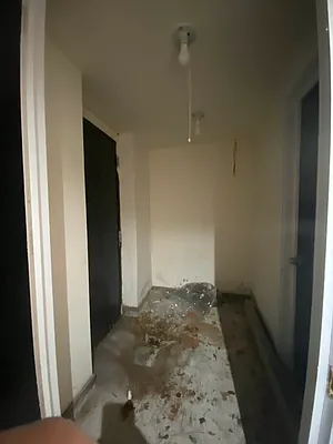 Rented by Hagstrom Management Inc | media 18