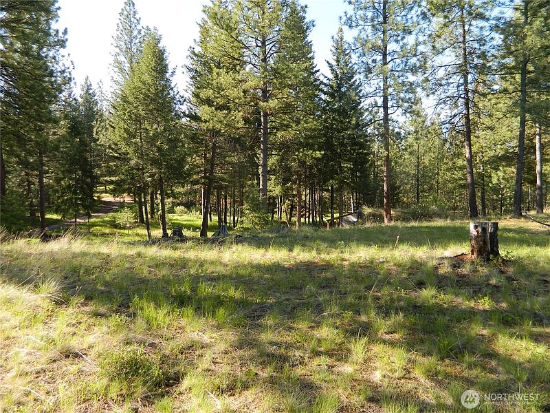 4th image of 151 Indian Mary Loop Road