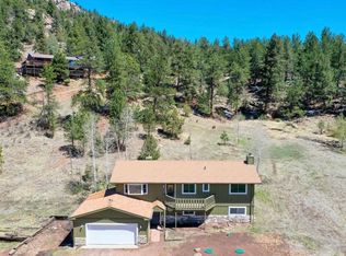 283 Brookside Dr, Bailey, CO 80421