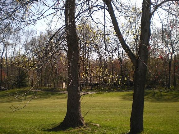 Golf Course View from Condo