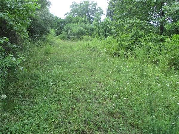 2nd image of 1111 Sanders Creek Rd