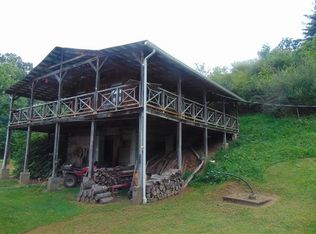 494 Lion Frk, Spencer, WV 25276