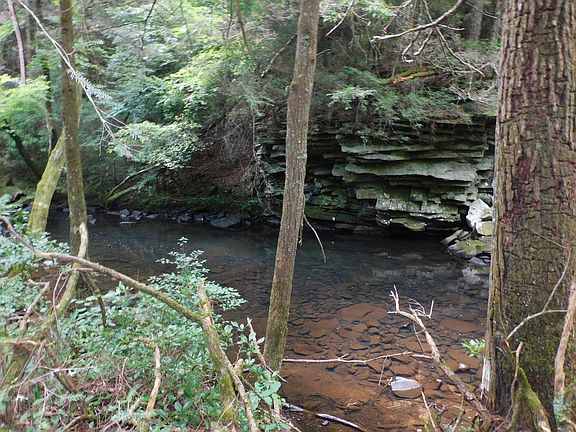 4th image of 0 Old Highway 56