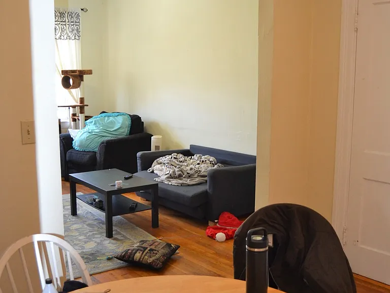45 Chestnut Hill Ave #41 — Photo 6