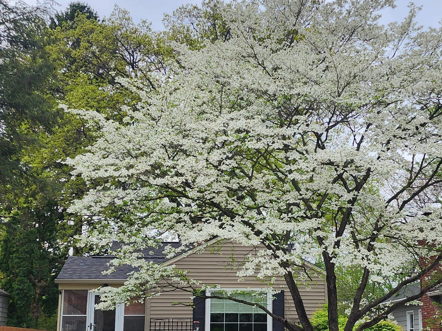 6032 Norwaldo Ave — Photo 1