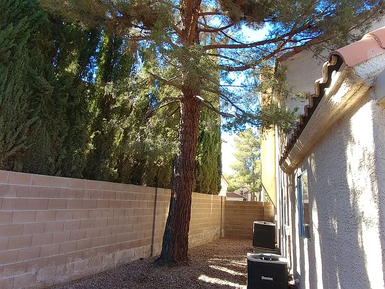 9901 Meandering Creek Ct — Photo 18