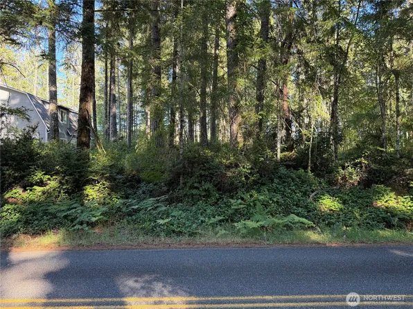 0 E Mason Lake Drive E, Grapeview, WA 98546