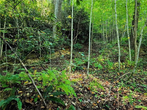 Lot 7 N. Old NC Hwy 16, Millers Creek, NC 28651