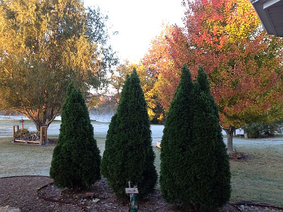 View to pond