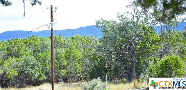 2nd image of 3317 Forest Trail Dr