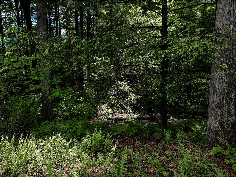 125 Old Mill Rd — Photo 28