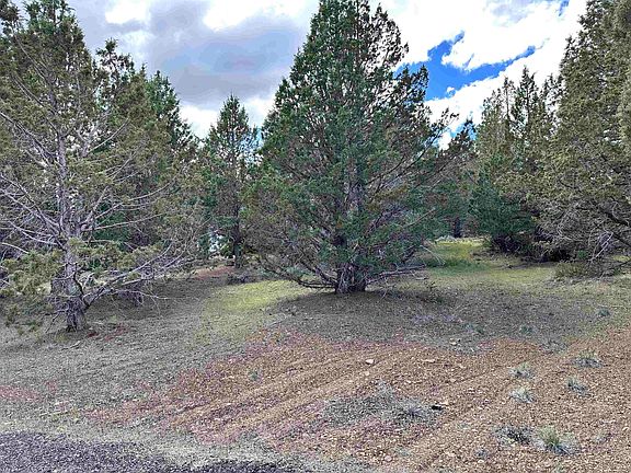 2nd image of 508-995 Stone Rd