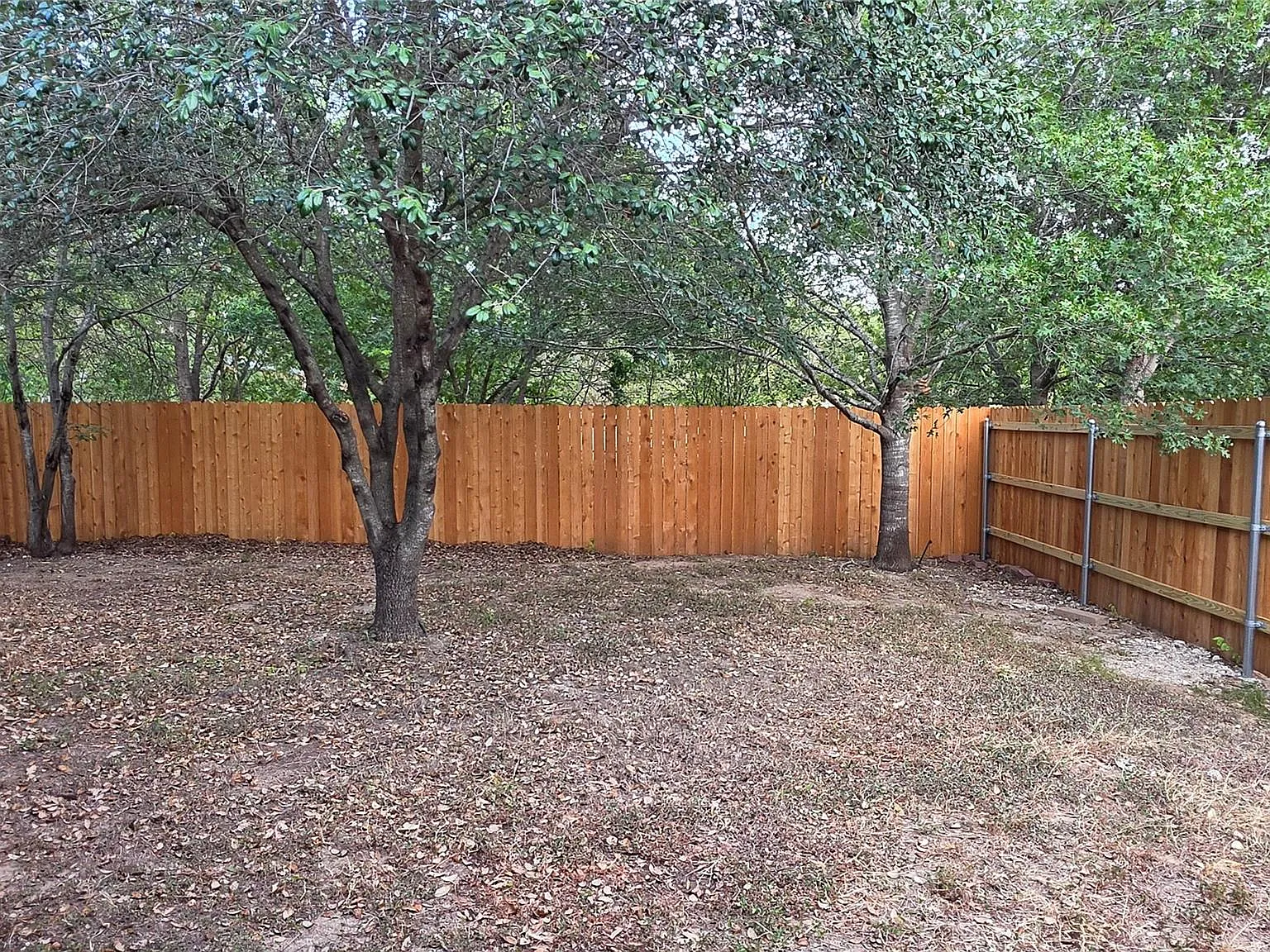 3 bed, 2.5 bath, 1422 sqft, $2,100 — Photo 4