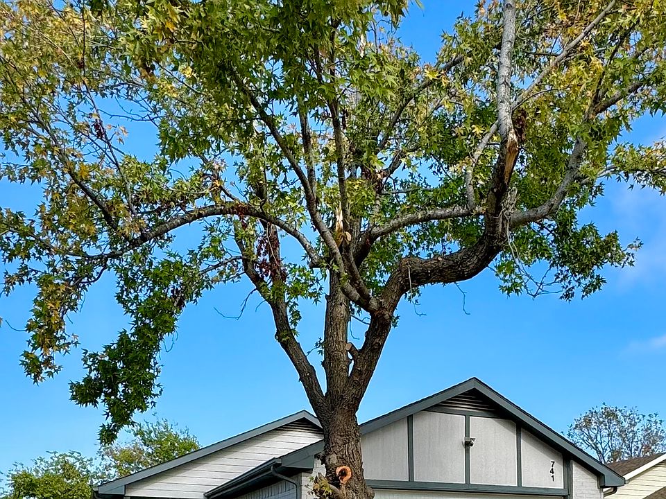 1st image of 741 Meadowcreek Ct
