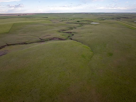 Dji 20260602071353 0010 D Talltines