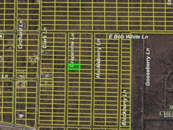 1206 Grapevine Ln, Horseshoe Bend, AR 72512