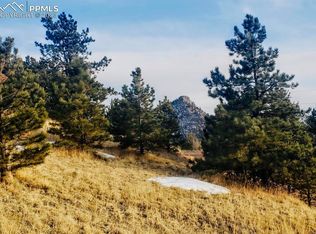 63 S Pinon Cir, Florissant, CO 80816