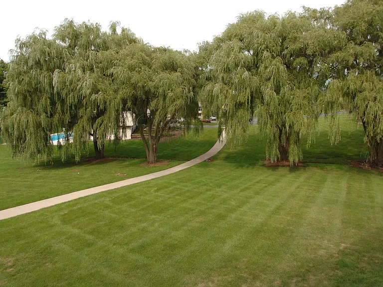 Outdoor Space