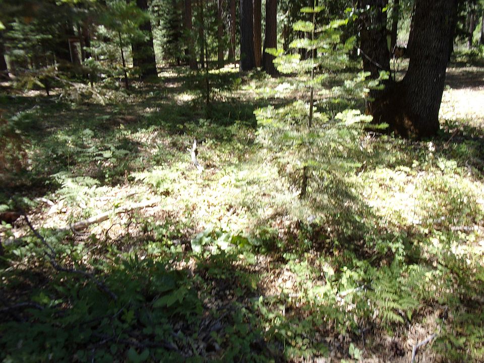 1st image of 21873 Ponderosa Way