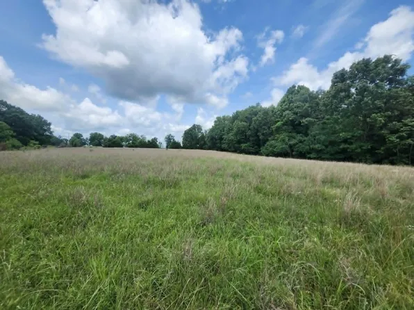 C-Tbd Blackberry Drive, Summersville, MO 65571