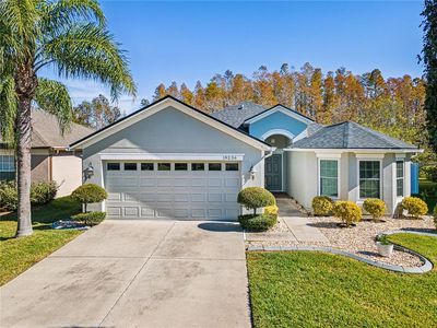18236 Holland House Loop, Land O Lakes, FL, 34638
