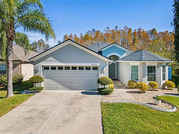 18236 HOLLAND HOUSE LOOP, LAND O LAKES, FL 34638