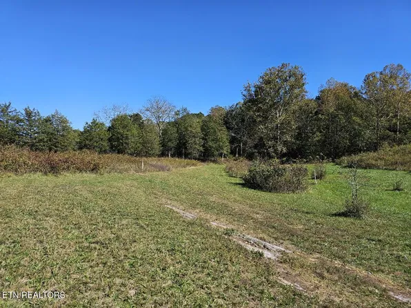 Shoreline Vis, Sharps Chapel, TN 37866