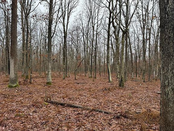 3rd image of Mowery Ridge Rd