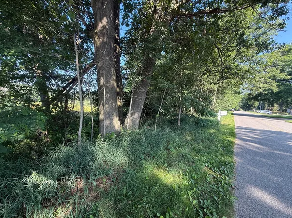 W Royal Rd Lot B, Stanwood, MI 49346