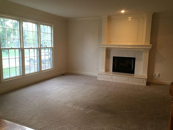 Living room fireplace